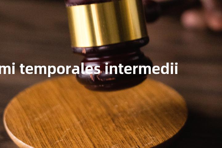 rami temporales intermedii单词图解，单词释义场景配图