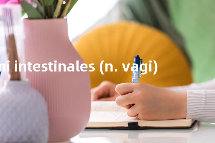 rami intestinales (n. vagi)单词图解，单词释义场景配图