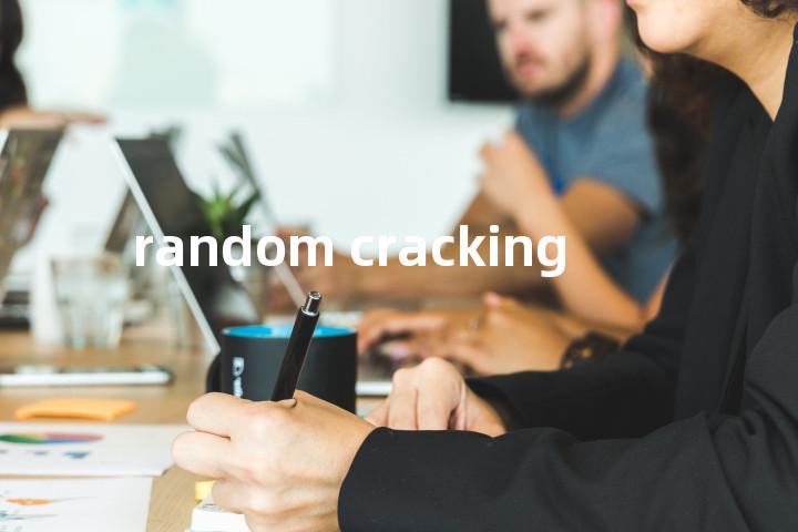 random cracking单词图解，单词释义场景配图