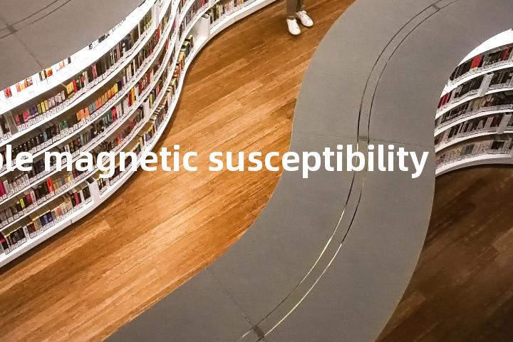 reversible magnetic susceptibility单词图解，单词释义场景配图