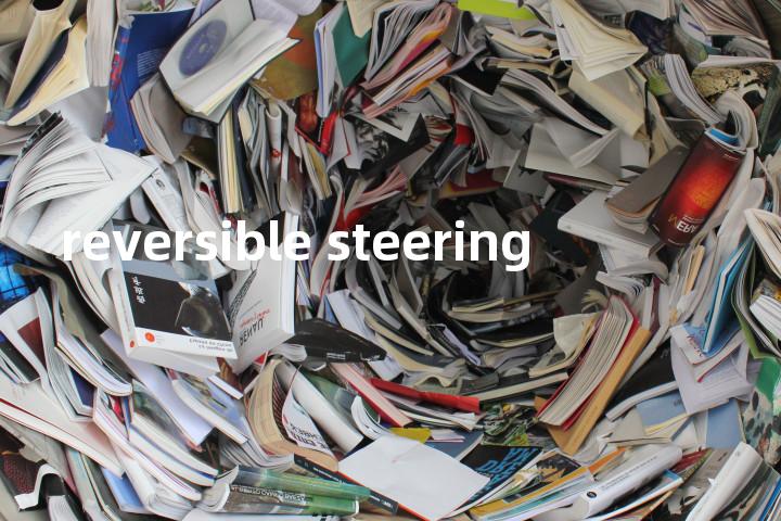 reversible steering单词图解，单词释义场景配图
