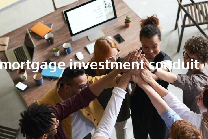 real estate mortgage investment conduit单词图解，单词释义场景配图