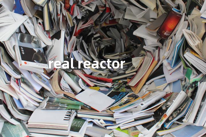 real reactor单词图解，单词释义场景配图