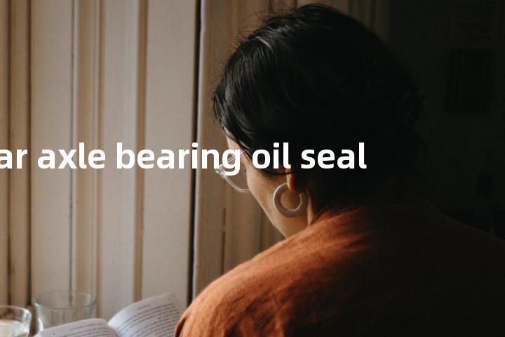 rear axle bearing oil seal单词图解，单词释义场景配图