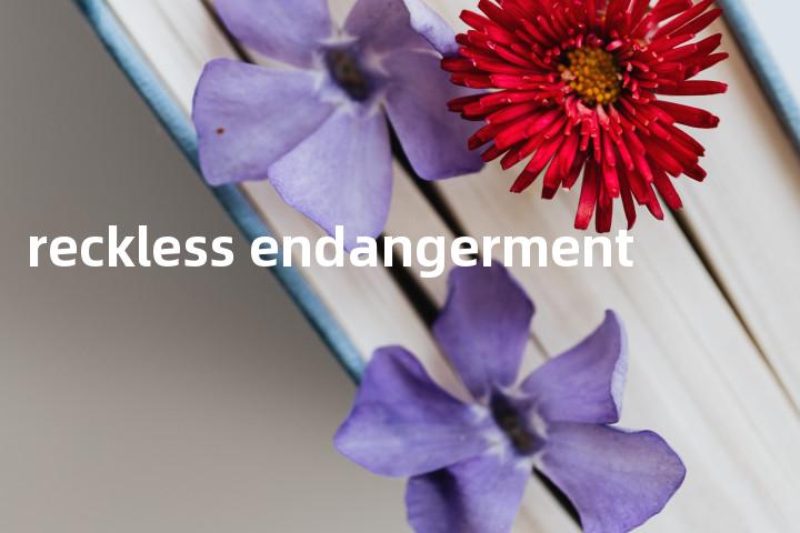 reckless endangerment单词图解，单词释义场景配图