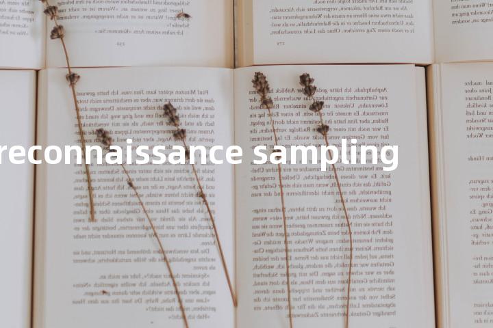 reconnaissance sampling单词图解，单词释义场景配图
