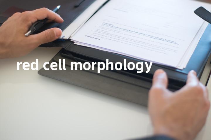 red cell morphology单词图解，单词释义场景配图