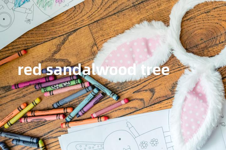 red sandalwood tree单词图解，单词释义场景配图