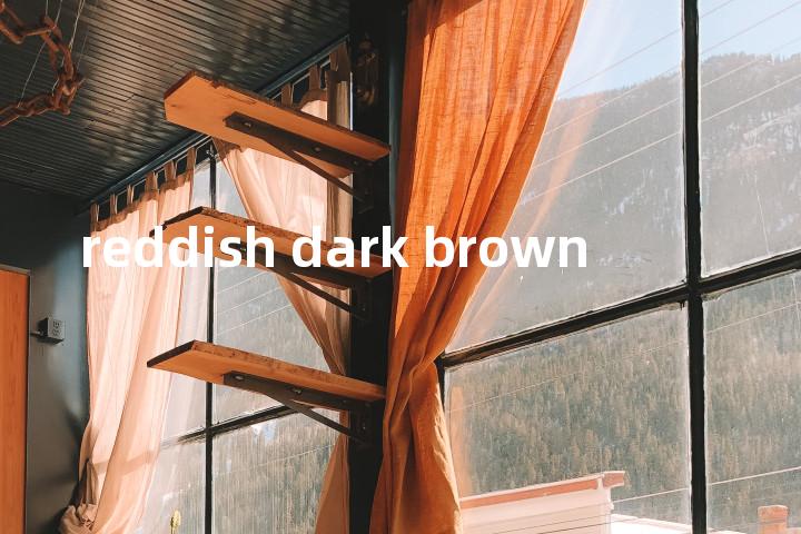 reddish dark brown单词图解，单词释义场景配图