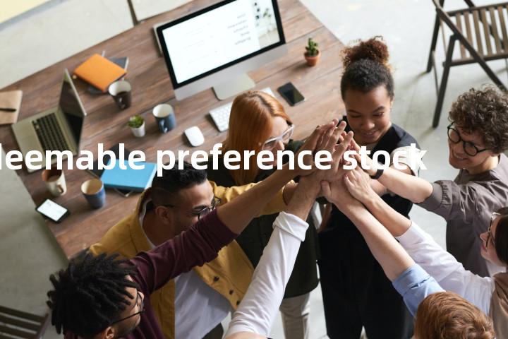 redeemable preference stock单词图解，单词释义场景配图