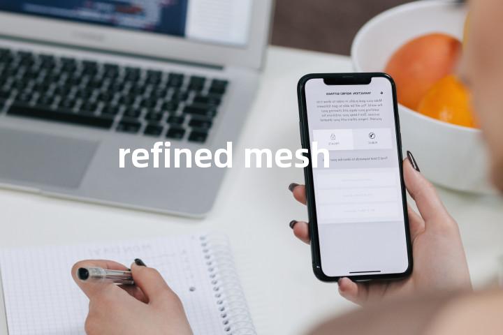 refined mesh单词图解，单词释义场景配图