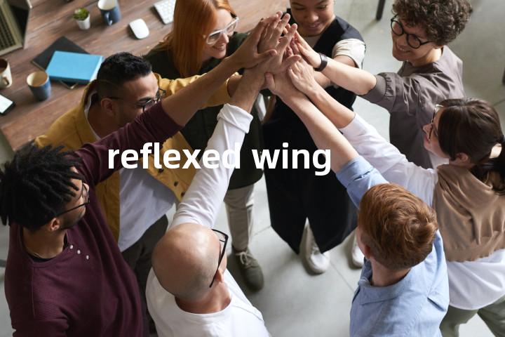 reflexed wing单词图解，单词释义场景配图