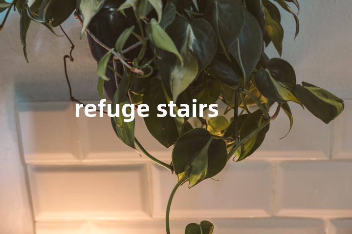 refuge stairs单词图解，单词释义场景配图