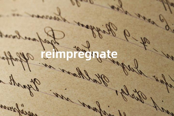 reimpregnate单词图解，单词释义场景配图