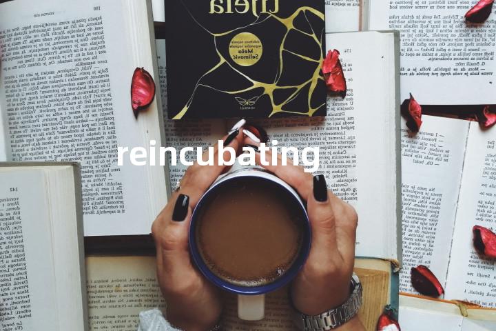 reincubating单词图解，单词释义场景配图