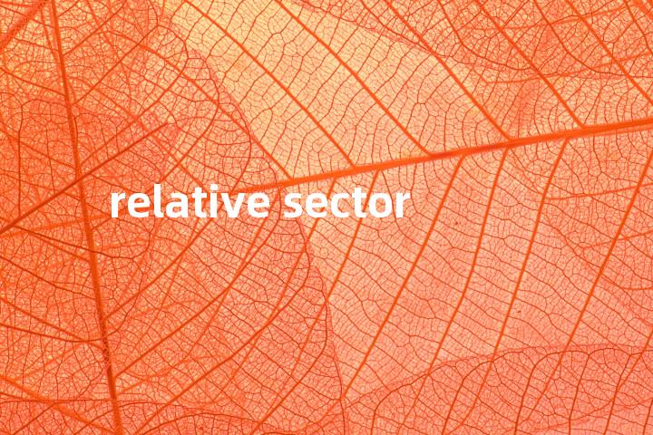 relative sector单词图解，单词释义场景配图