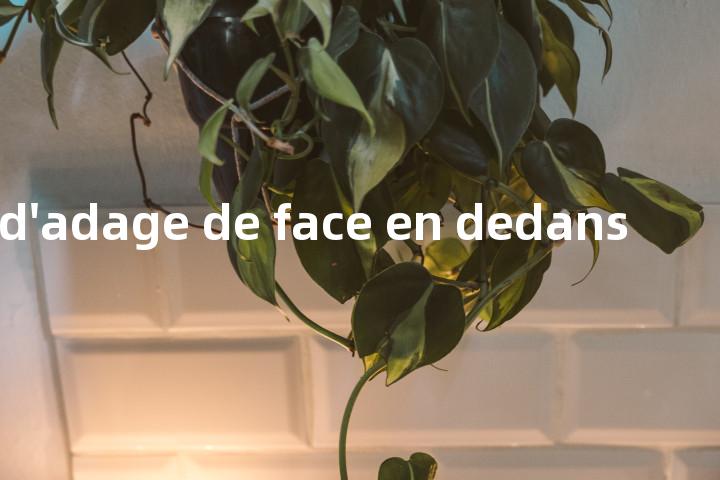 relev? d'adage de face en dedans单词图解，单词释义场景配图