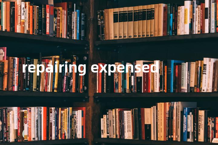 repairing expensed单词图解，单词释义场景配图