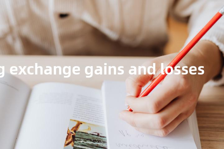 reporting exchange gains and losses单词图解，单词释义场景配图
