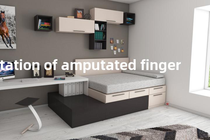 replantation of amputated finger单词图解，单词释义场景配图