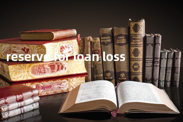 reserve for loan loss单词图解，单词释义场景配图