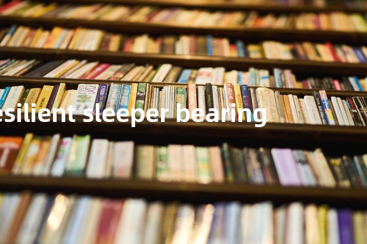 resilient sleeper bearing单词图解，单词释义场景配图