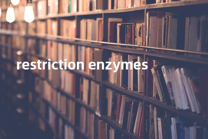 restriction enzymes单词图解，单词释义场景配图