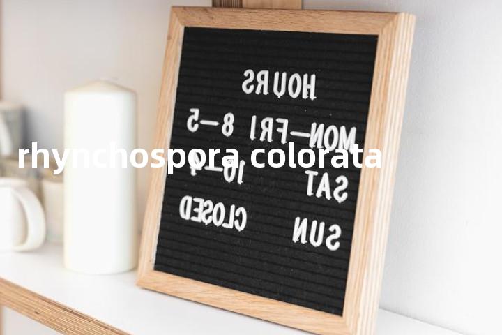 rhynchospora colorata单词图解，单词释义场景配图