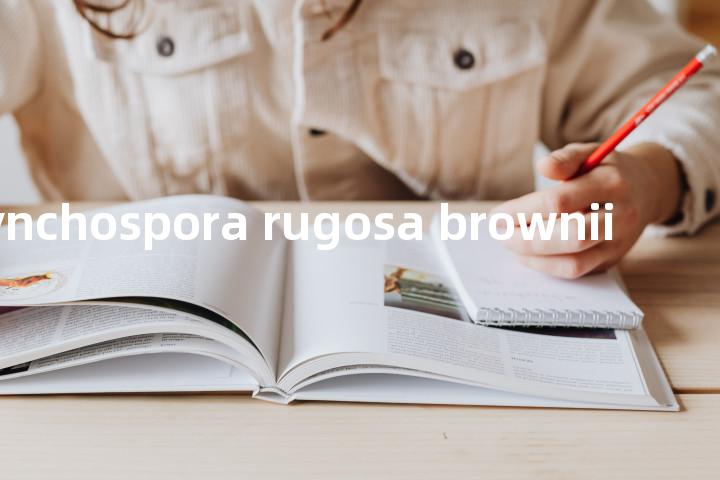 rhynchospora rugosa brownii单词图解，单词释义场景配图