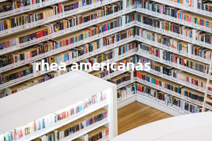 rhea americanas单词图解，单词释义场景配图