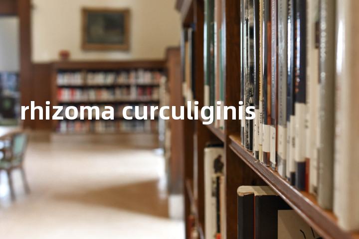 rhizoma curculiginis单词图解，单词释义场景配图
