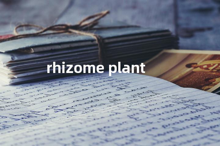 rhizome plant单词图解，单词释义场景配图