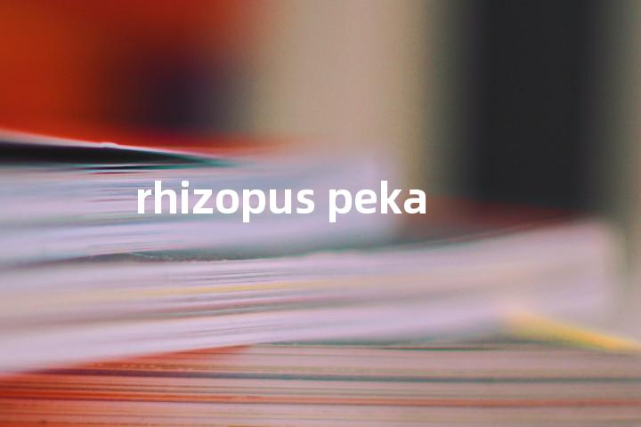 rhizopus peka单词图解，单词释义场景配图