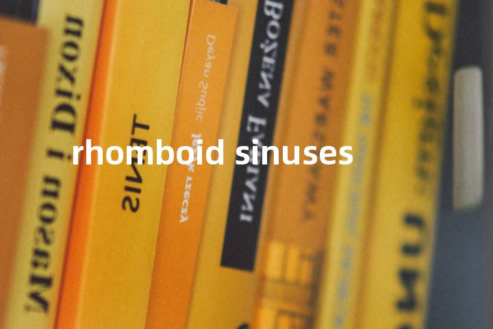 rhomboid sinuses单词图解，单词释义场景配图