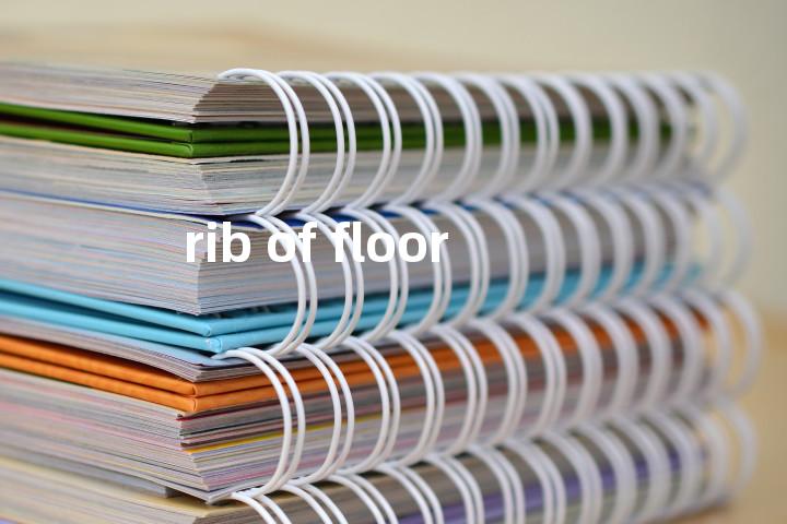 rib of floor单词图解，单词释义场景配图