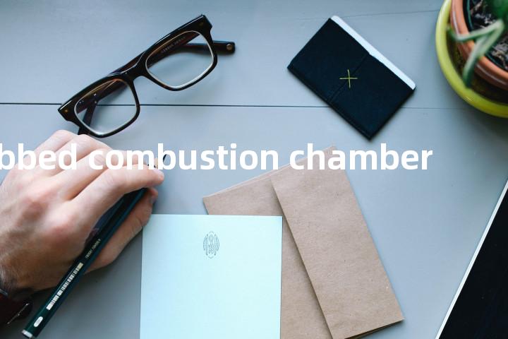 ribbed combustion chamber单词图解，单词释义场景配图