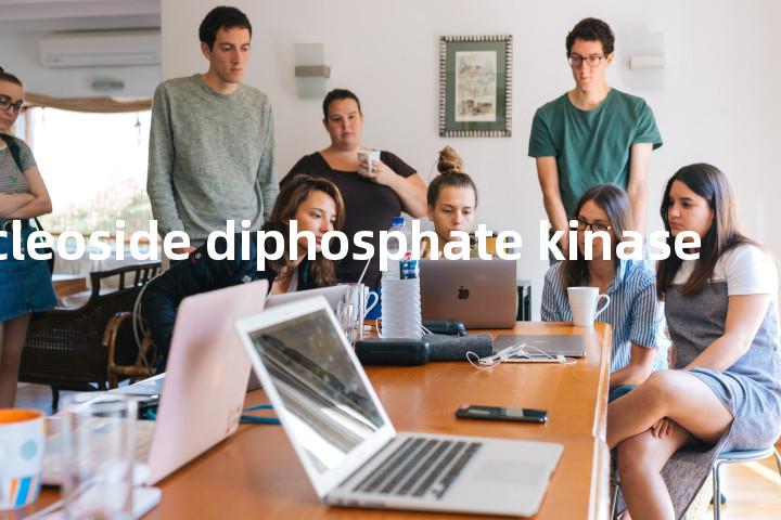 ribonucleoside diphosphate kinase单词图解，单词释义场景配图