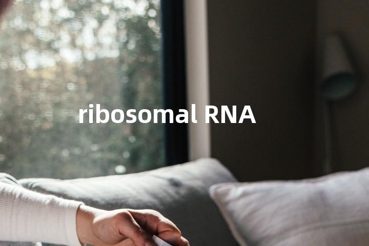 ribosomal RNA单词图解，单词释义场景配图
