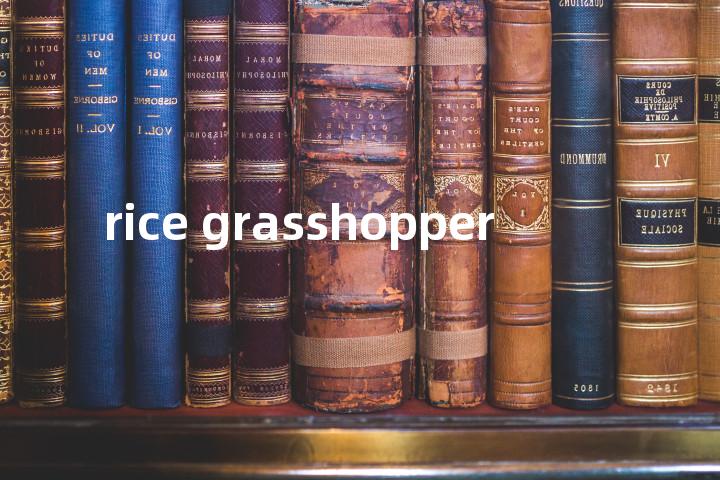 rice grasshopper单词图解，单词释义场景配图