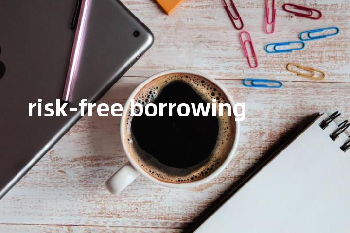 risk-free borrowing单词图解，单词释义场景配图