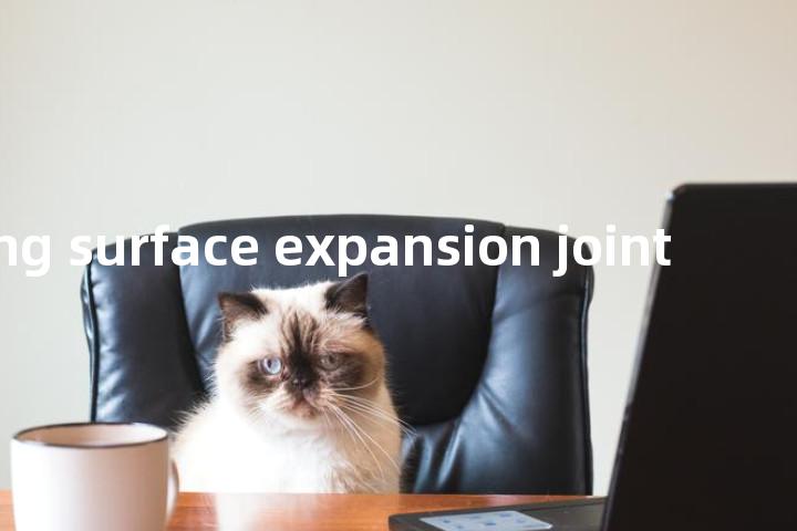 running surface expansion joint单词图解，单词释义场景配图