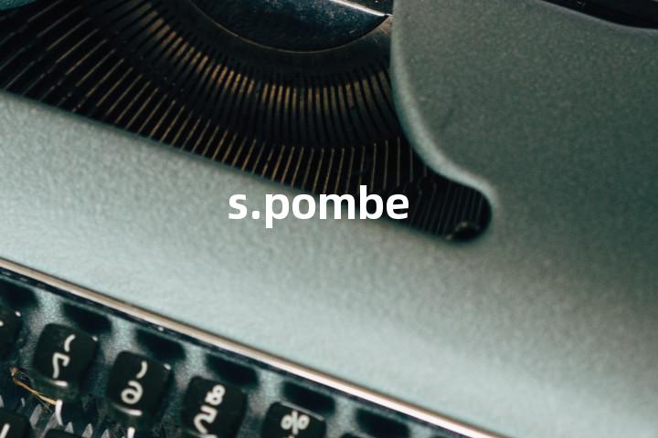 s.pombe单词图解，单词释义场景配图