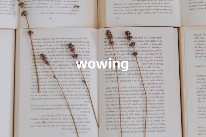 wowing单词图解，单词释义场景配图