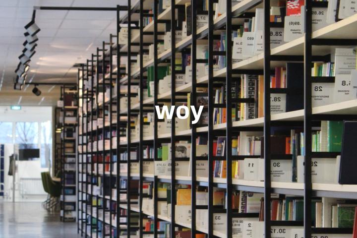 woy单词图解，单词释义场景配图