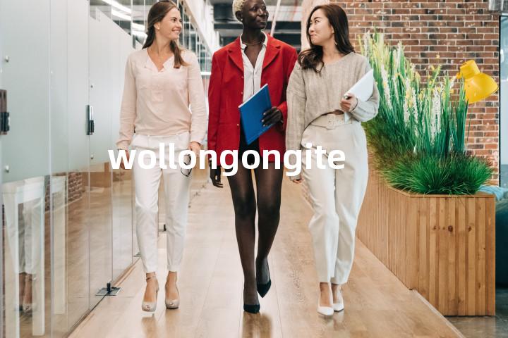 wollongongite单词图解，单词释义场景配图