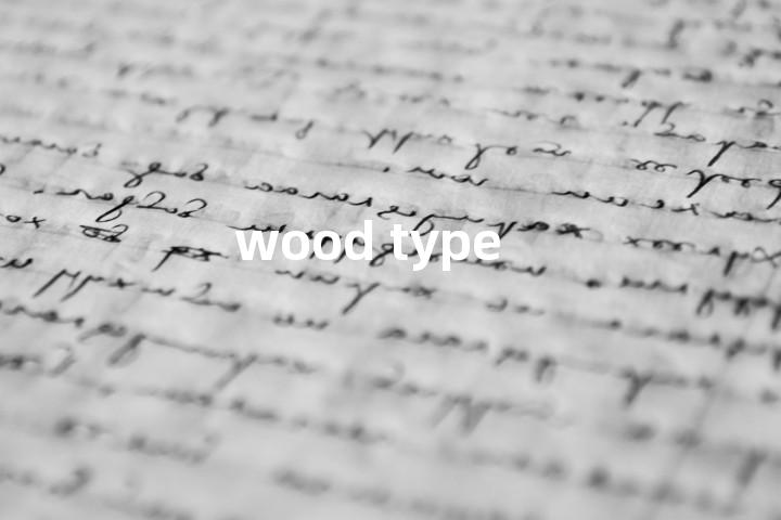 wood type单词图解，单词释义场景配图