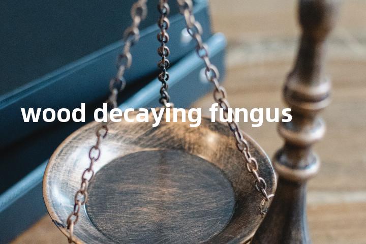 wood decaying fungus单词图解，单词释义场景配图