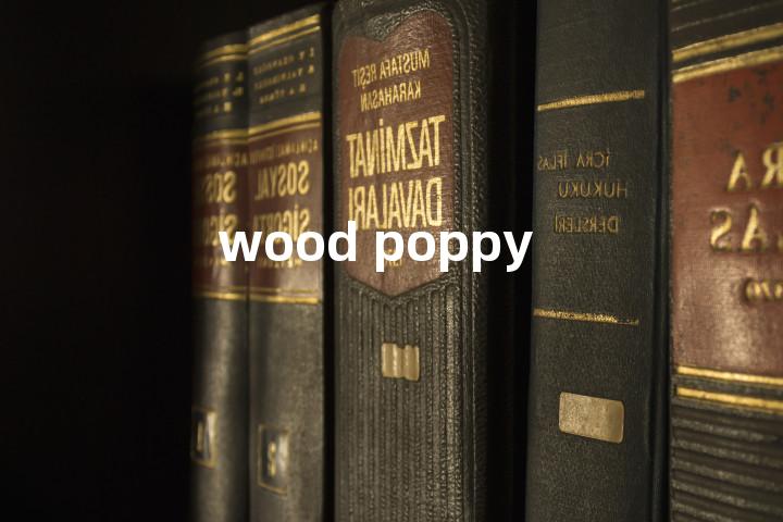 wood poppy单词图解，单词释义场景配图