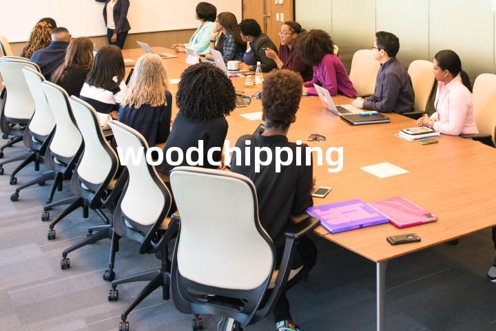 woodchipping单词图解，单词释义场景配图