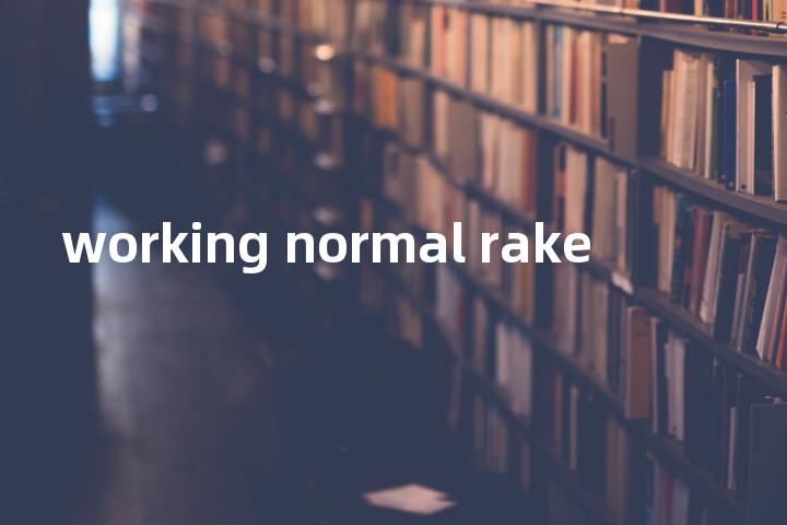 working normal rake单词图解，单词释义场景配图